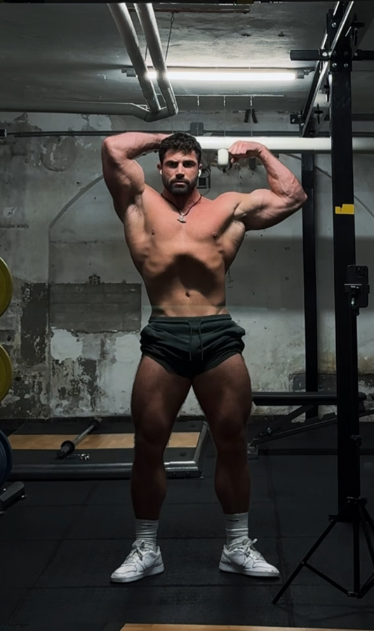 Push-Pull-Legs Program